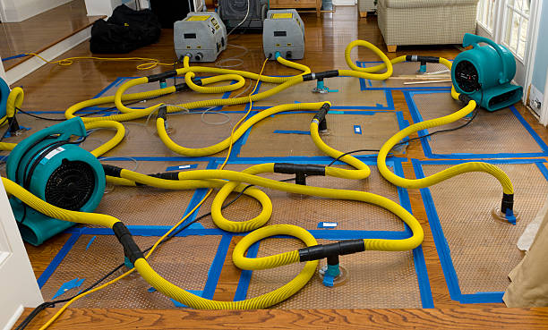 Professional Flood Damage Restoration technician working in Trufant, MI